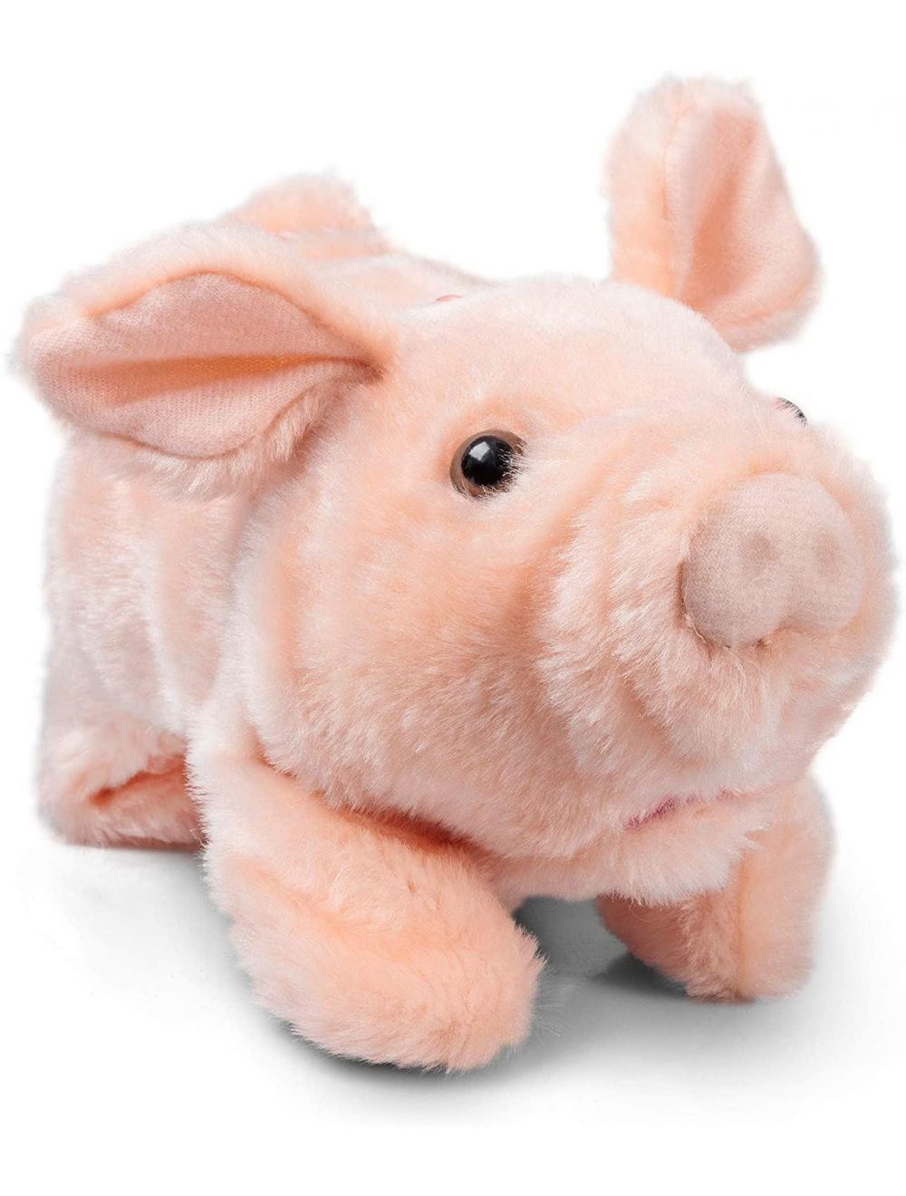 Battery operated store walking pig