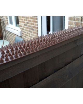 4.4m Fence & Wall Spike Set Anti-Bird Pigeon Repeller Deterrent Window Defender 