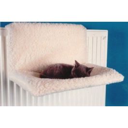 Kitten 2024 beds argos